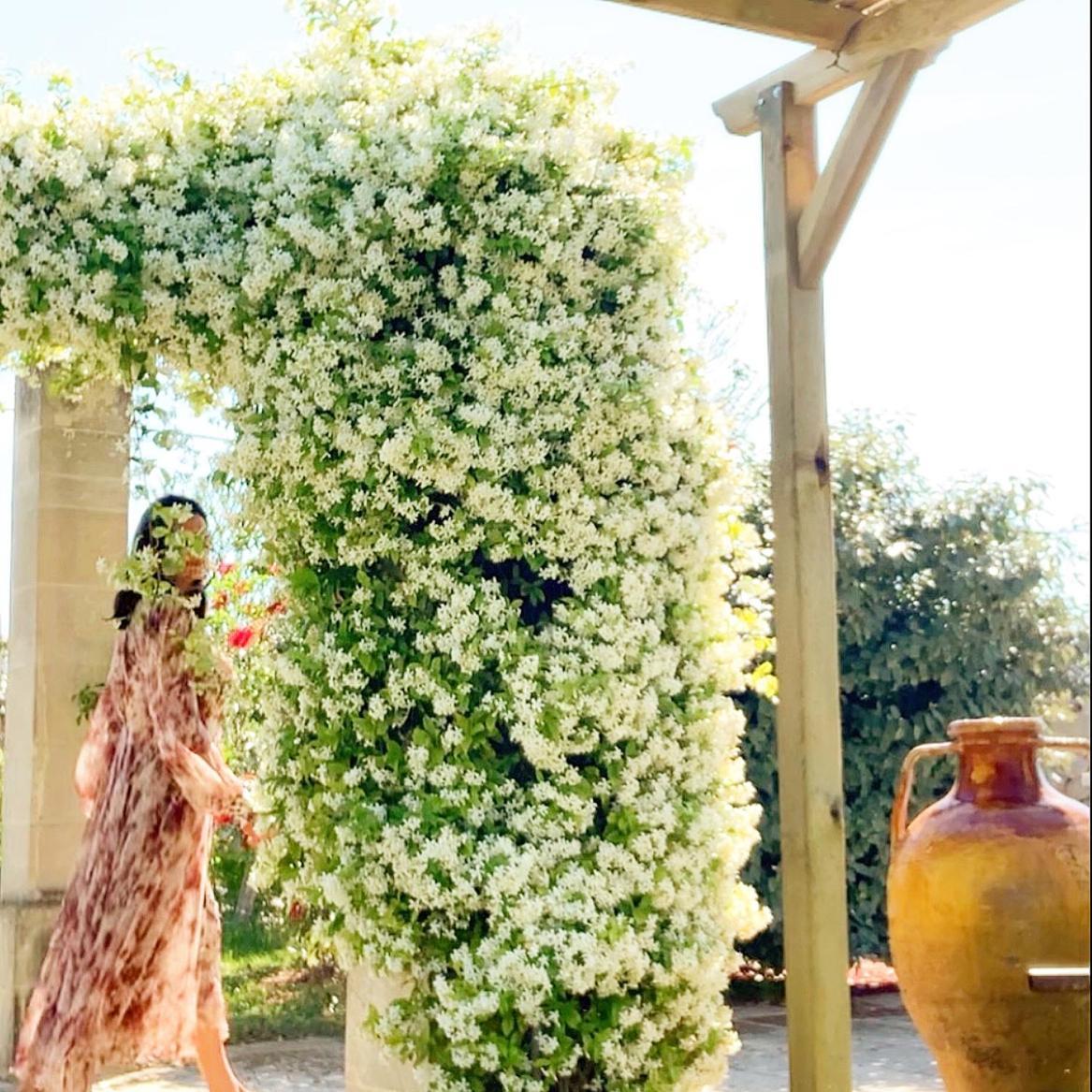 أكايا Masseria Vittoria المظهر الخارجي الصورة