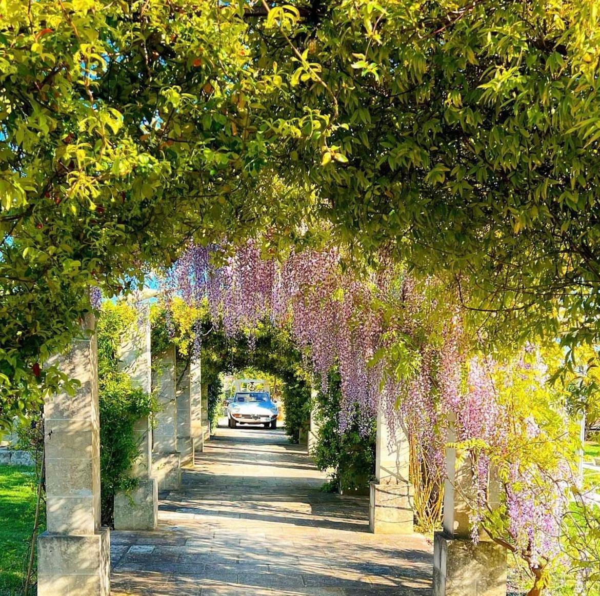 أكايا Masseria Vittoria المظهر الخارجي الصورة